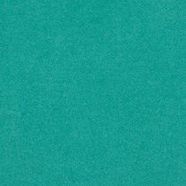 0965 Miami Foret 0965 Miami Foret